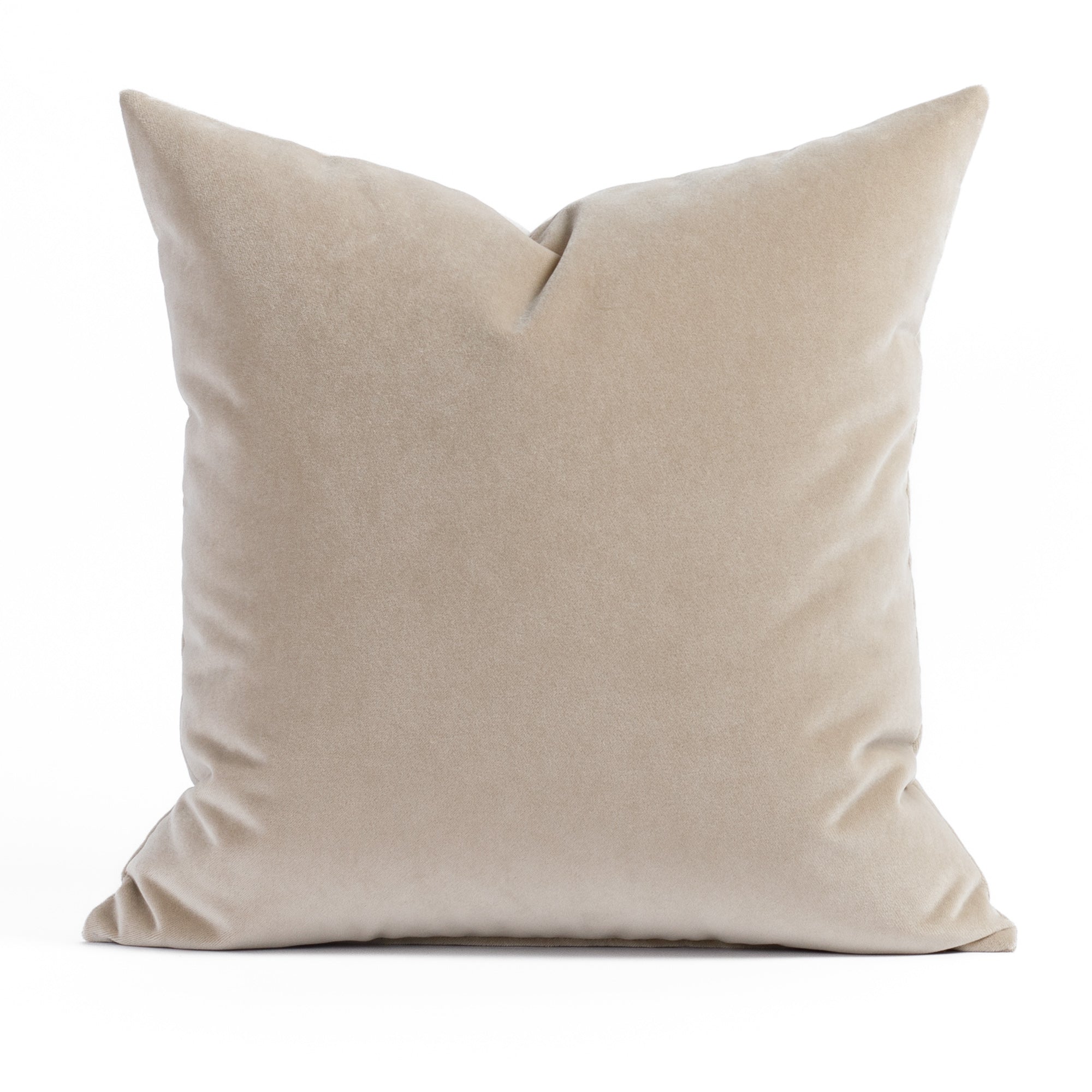 Valentina Velvet 20x20 Pillow Cashmere