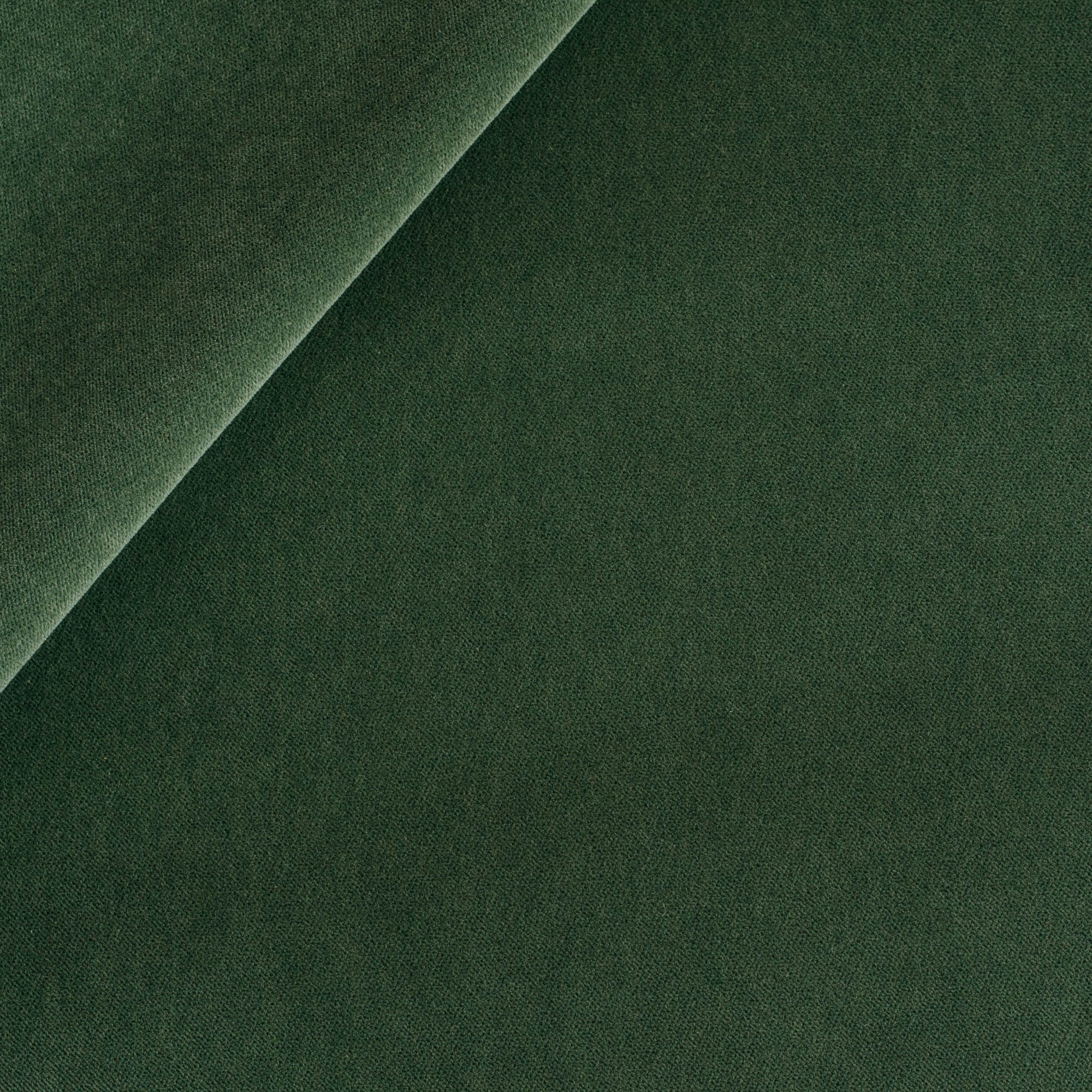 Valentina Velvet Pine Green upholstery fabric from Tonic Living.